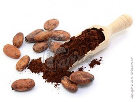 Какао-порошок Natra Cacao алкализированный темно-красный  Cordoba 20-22%< фото цена